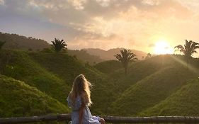 The Valley Tayrona Hostel- A Unique Social Jungle Hostel