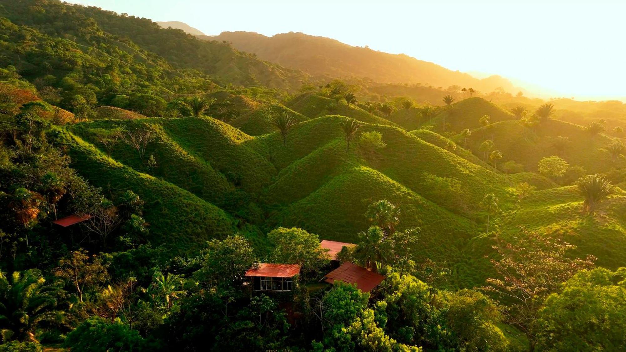 The Valley Tayrona Hostel- A Social Jungle Hostel El Zaino Buitenkant foto